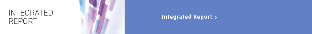 Integrated report
