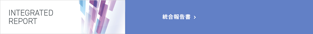 統合報告書